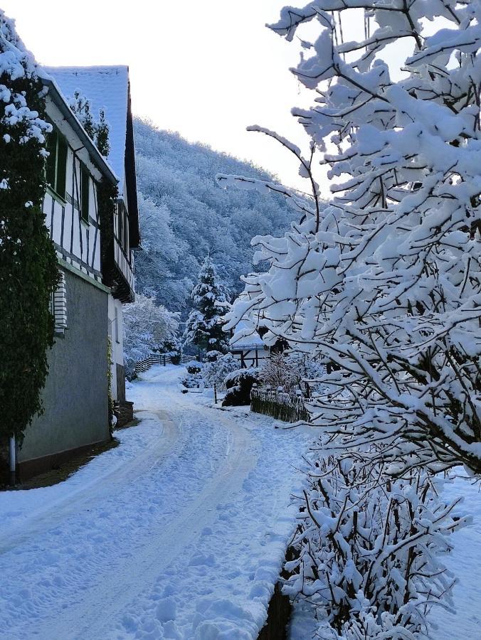 Ferienwohnung 'Unter Der Burg' Brodenbach Exterior foto